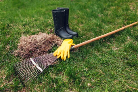 Cleaning lawn from dry grass with a rake in spring garden. Heap of grass with worker's boots and tool