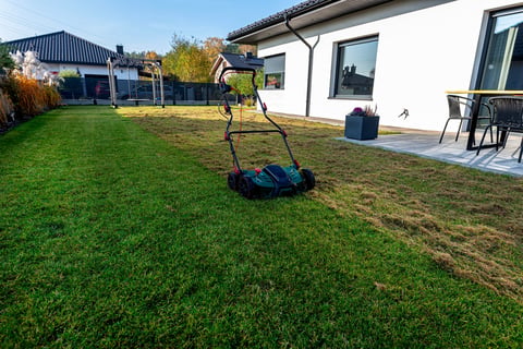 Scarifying the lawn before the winter season using an electric scarifier.