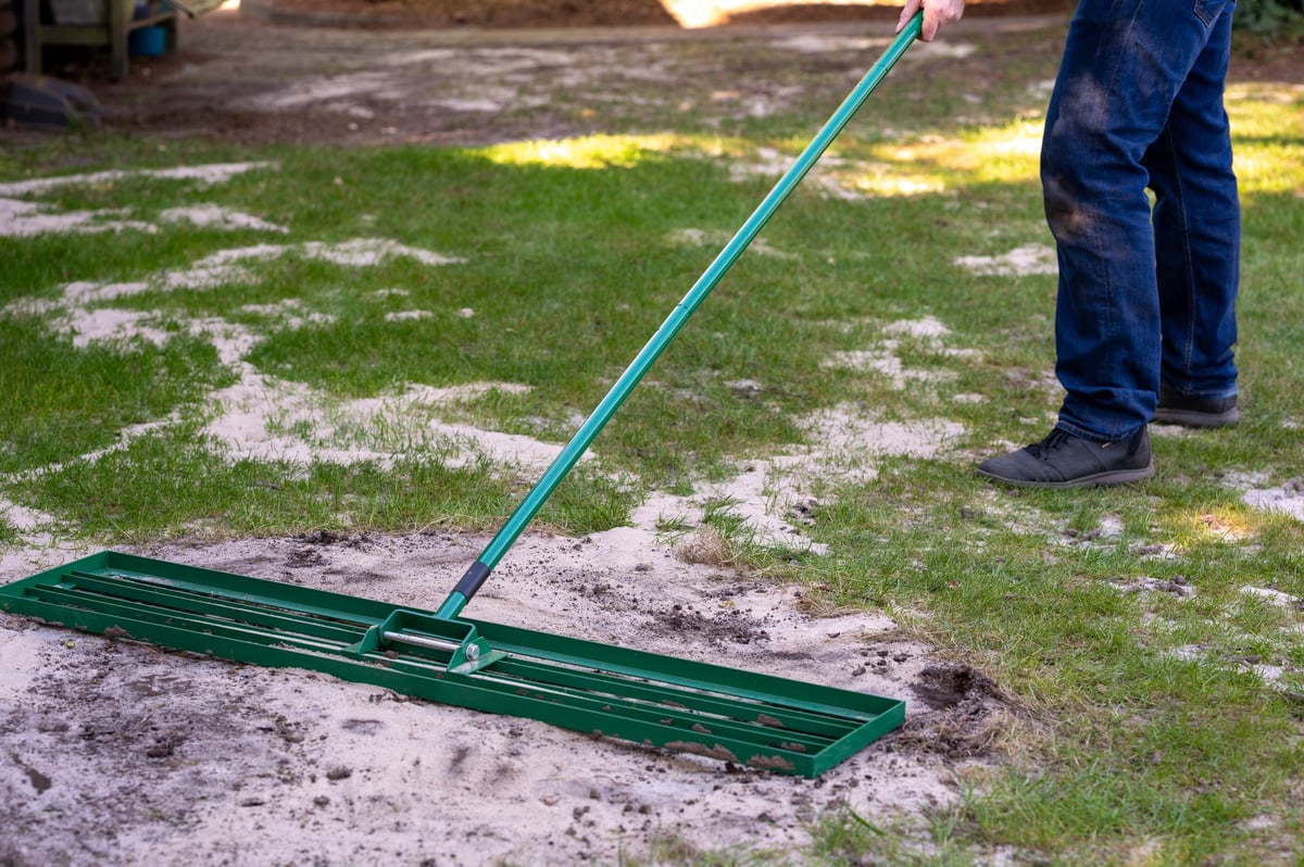 Lawn before aeration and dethatching
