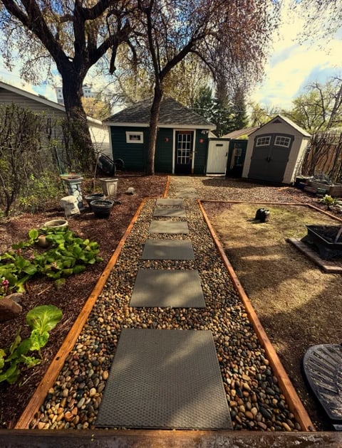 Backyard with gravel pathway lined by wooden edging leading to green sheds under mature trees